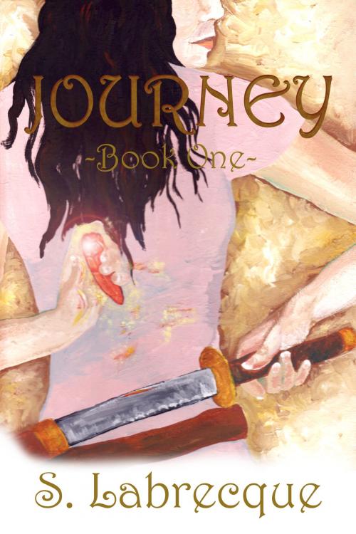 Cover of the book Journey by S Labrecque, S Labrecque