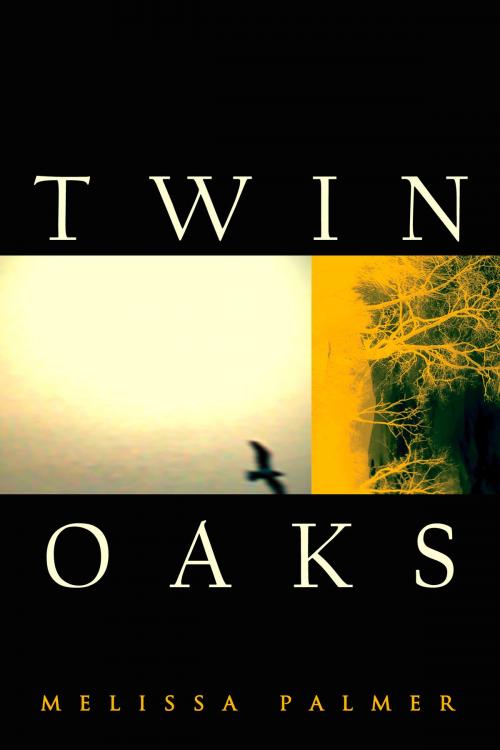 Cover of the book Twin Oaks by Melissa Palmer, Open Books