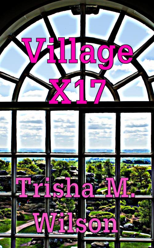 Cover of the book Village X17 by Trisha M. Wilson, Trisha M. Wilson