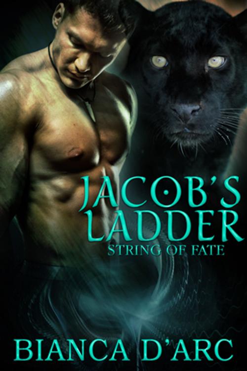 Cover of the book Jacob's Ladder by Bianca D'Arc, Hawk Publishing