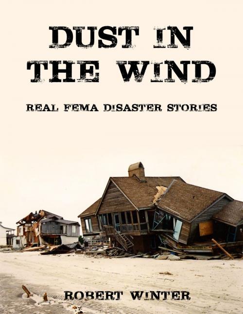 Cover of the book Dust in the Wind: Real FEMA Disaster Stories by Robert Winter, Robert Winter