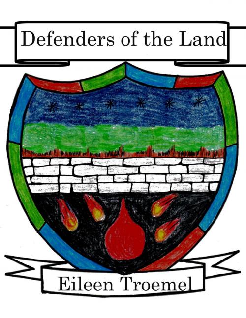 Cover of the book Defenders of the Land by Eileen Troemel, Eileen Troemel
