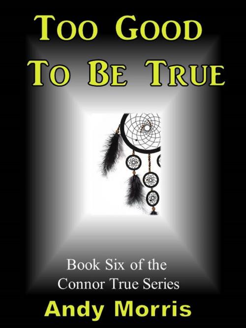 Cover of the book Too Good To Be True: Book Six of the Connor True Series by Andy Morris, Andy Morris
