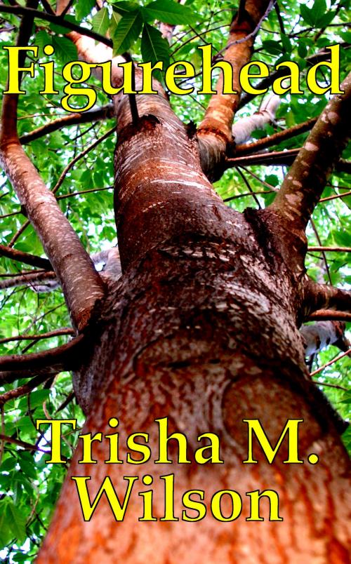 Cover of the book Figurehead by Trisha M. Wilson, Trisha M. Wilson