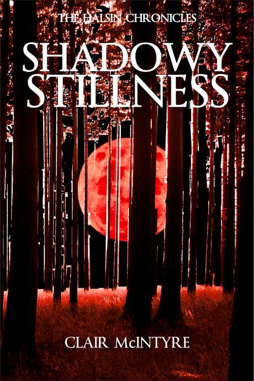 Cover of the book Shadowy Stillness by Clair McIntyre, Clair McIntyre