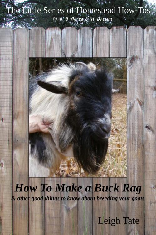 Cover of the book How To Make a Buck Rag & Other Good Things To Know About Breeding Your Goats by Leigh Tate, Leigh Tate