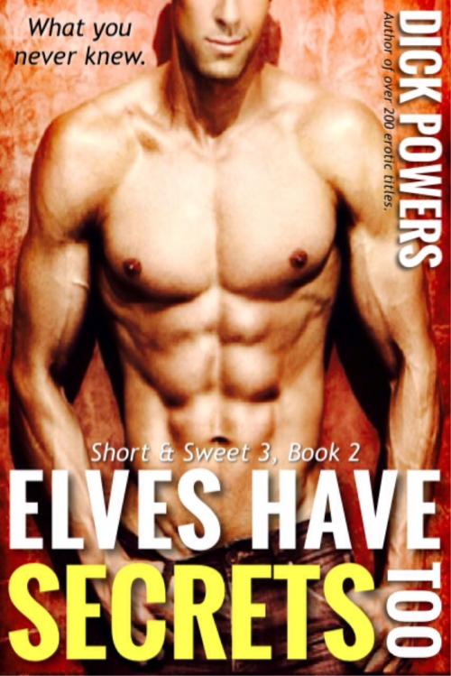 Cover of the book Elves Have Secrets Too (Short & Sweet 3, Book 2) by Dick Powers, Lunatic Ink Publishing