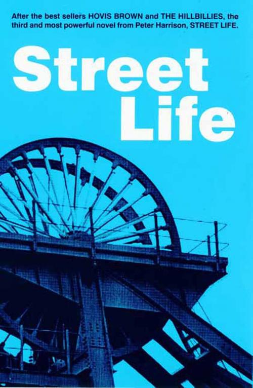 Cover of the book Street Life by Peter Harrison, Barny Books