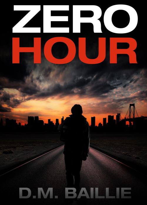 Cover of the book Zero Hour by D. M. Baillie, D. M. Baillie