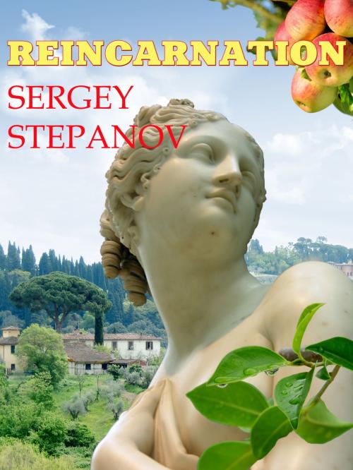 Cover of the book Reincarnation by Sergey Stepanov, Sergey Stepanov