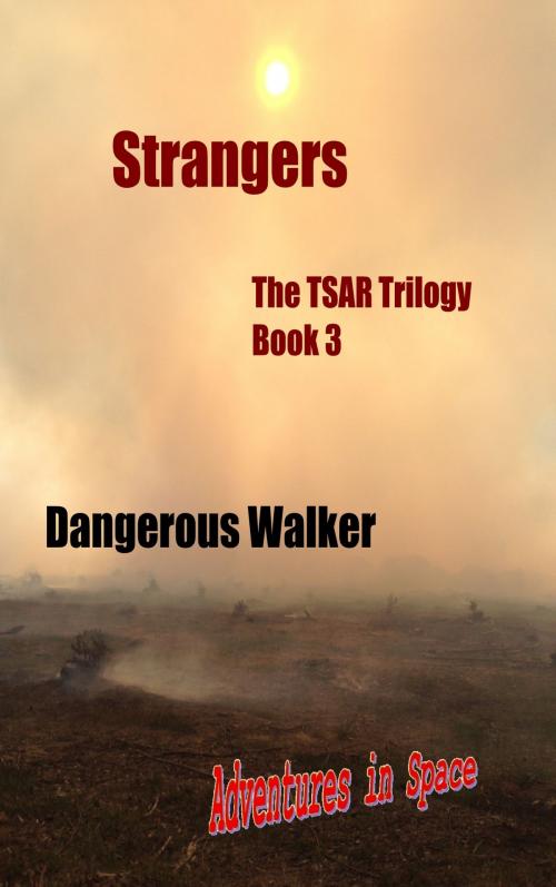 Cover of the book Strangers by Dangerous Walker, Dangerous Walker