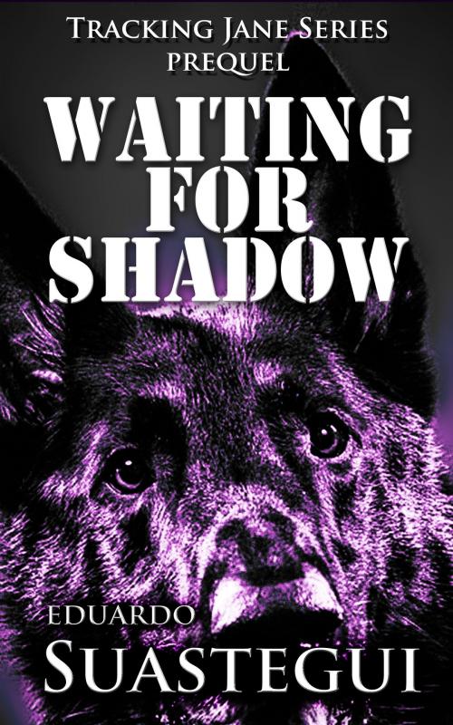 Cover of the book Waiting for Shadow by Eduardo Suastegui, Eduardo Suastegui