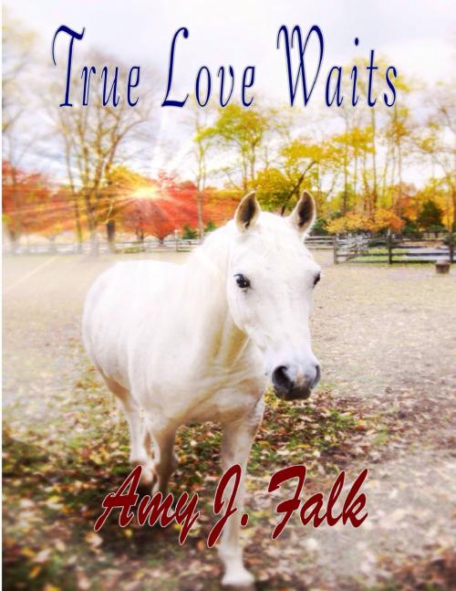 Cover of the book True Love Waits by Amy J. Falk, Lulu.com