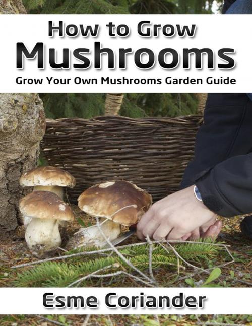 Cover of the book How to Grow Mushrooms: Grow Your Own Mushrooms Garden Guide by Esme Coriander, Lulu.com