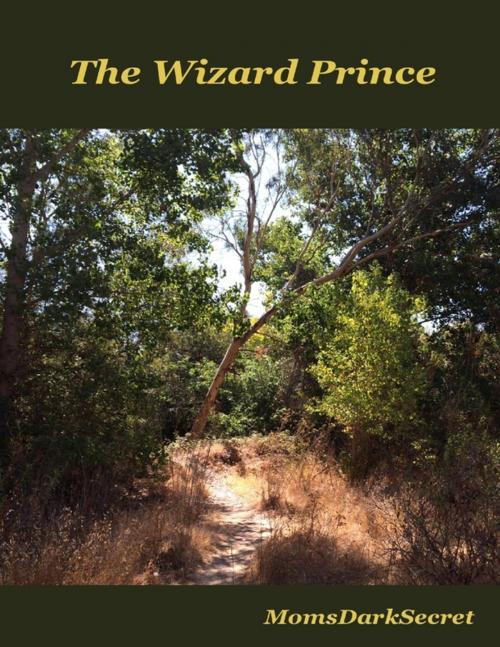 Cover of the book The Wizard Prince by MomsDarkSecret, Lulu.com