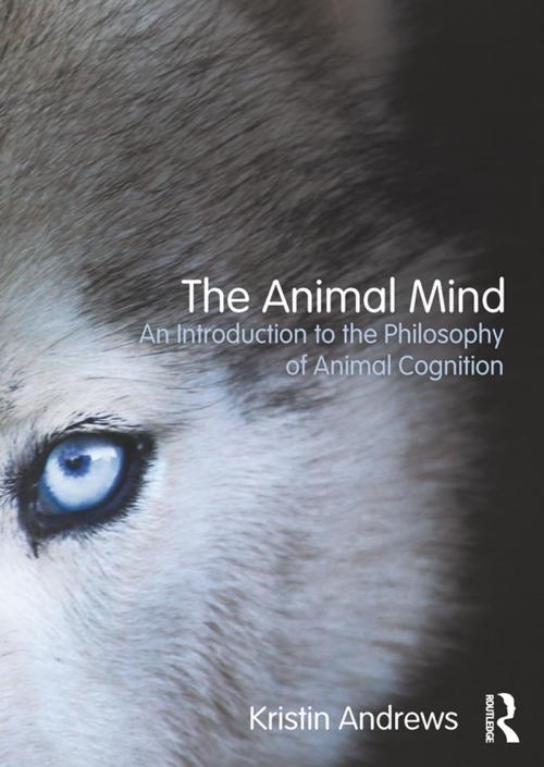 Cover of the book The Animal Mind by Kristin Andrews, Taylor and Francis