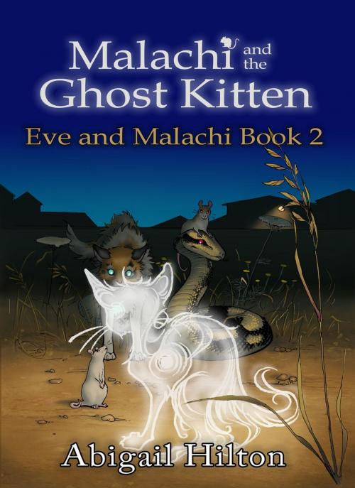 Cover of the book Malachi and the Ghost Kitten by Abigail Hilton, Pavonine Books