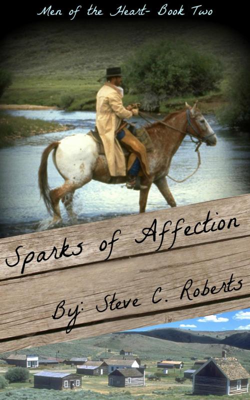 Cover of the book Sparks of Affection by Steve C. Roberts, Steve C. Roberts