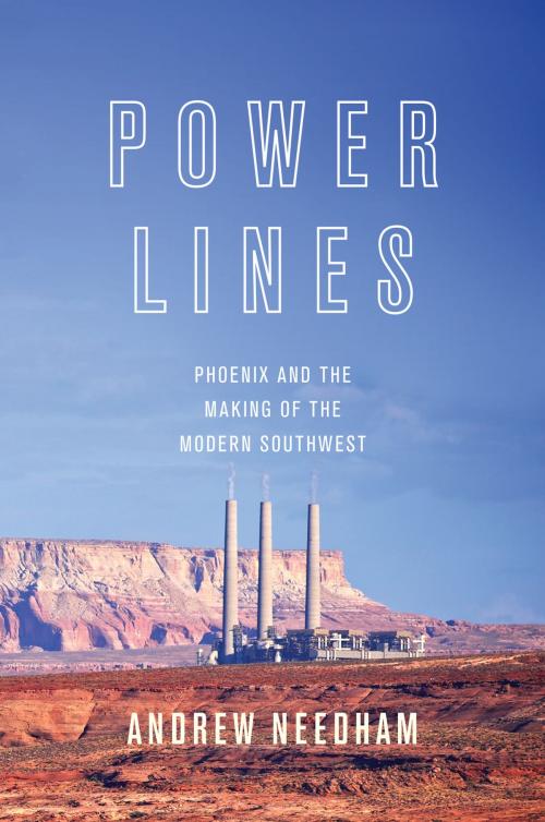 Cover of the book Power Lines by Andrew Needham, Princeton University Press