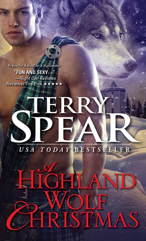 Cover of the book A Highland Wolf Christmas by Terry Spear, Sourcebooks