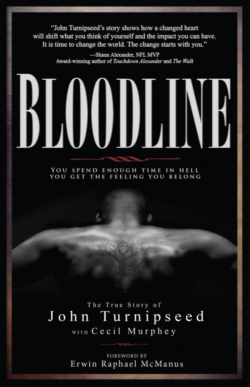 Cover of the book Bloodline by John Turnipseed, Cecil Murphey, BroadStreet Publishing Group, LLC