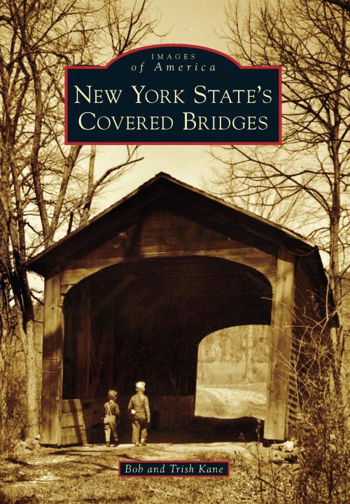 Cover of the book New York State's Covered Bridges by Bob Kane, Trish Kane, Arcadia Publishing Inc.