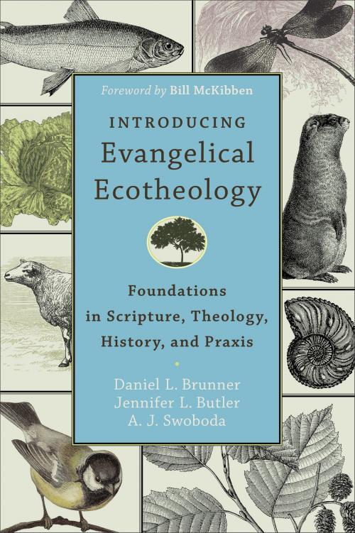 Cover of the book Introducing Evangelical Ecotheology by Daniel L. Brunner, Jennifer L. Butler, A. J. Swoboda, Baker Publishing Group