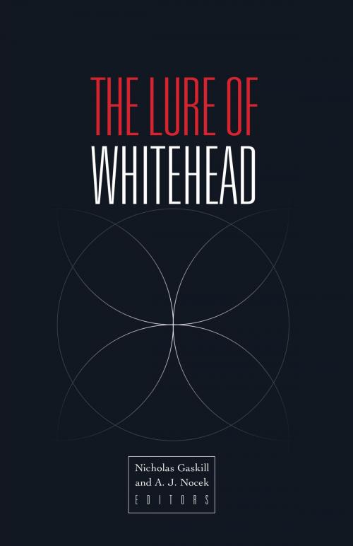 Cover of the book The Lure of Whitehead by , University of Minnesota Press