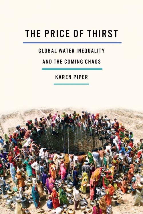 Cover of the book The Price of Thirst by Karen Piper, University of Minnesota Press