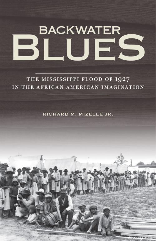 Cover of the book Backwater Blues by Richard M. Mizelle Jr., University of Minnesota Press