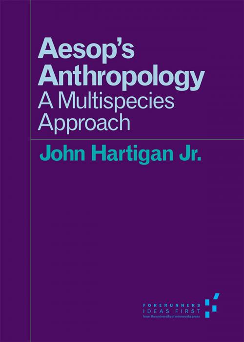 Cover of the book Aesop's Anthropology by John Hartigan Jr., University of Minnesota Press