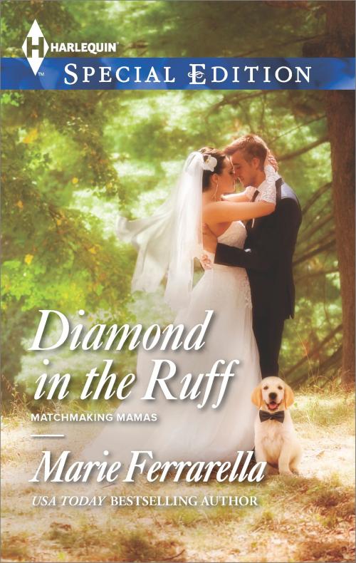Cover of the book Diamond in the Ruff by Marie Ferrarella, Harlequin