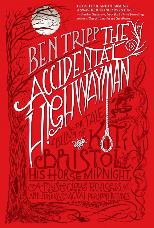 Cover of the book The Accidental Highwayman by Ben Tripp, Tom Doherty Associates