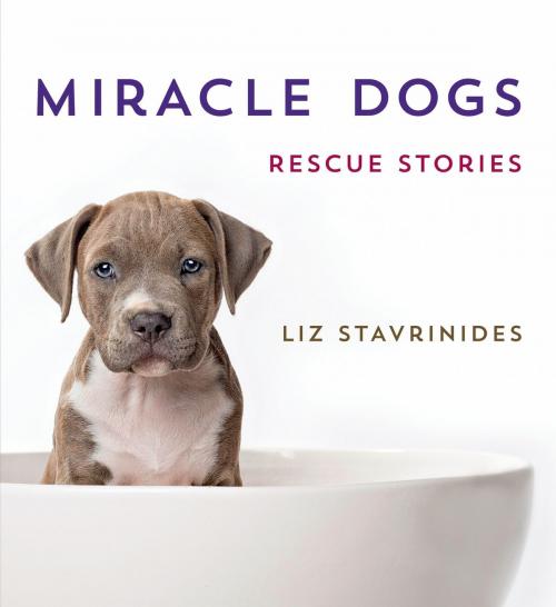 Cover of the book Miracle Dogs by Liz Stavrinides, St. Martin's Press