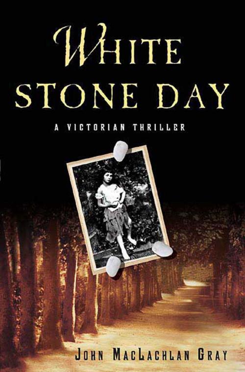 Cover of the book White Stone Day by John MacLachlan Gray, St. Martin's Press