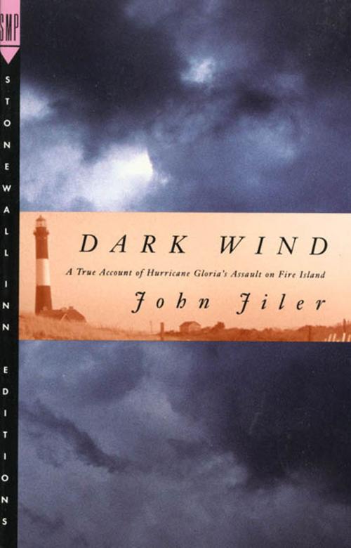 Cover of the book Dark Wind by John Jiler, St. Martin's Press