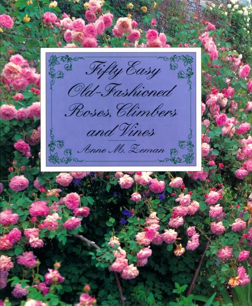 Cover of the book Fifty Easy Old-Fashioned Roses, Climbers and Vines by Anne M. Zeman, Henry Holt and Co.