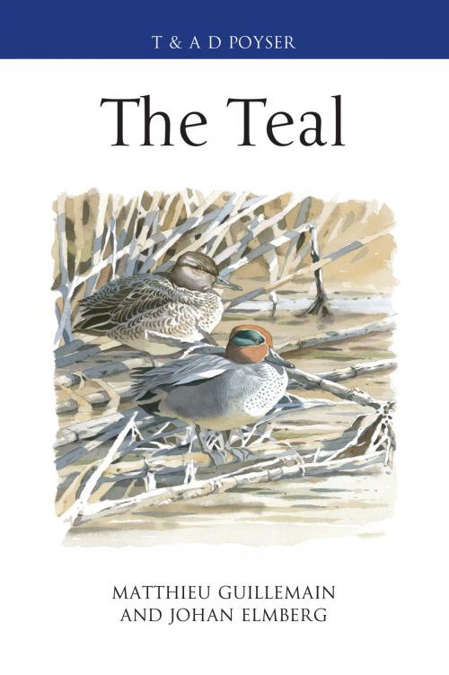 Cover of the book The Teal by Matthieu Guillemain, Johan Elmberg, Bloomsbury Publishing