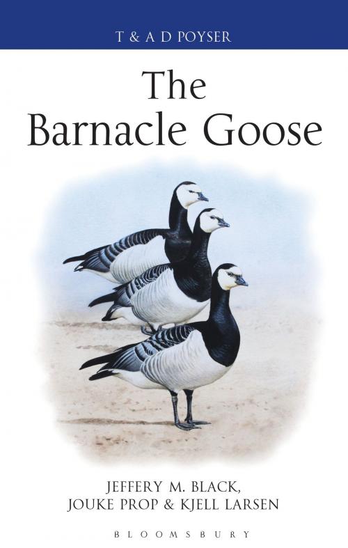 Cover of the book The Barnacle Goose by Jeffrey M. Black, Jouke Prop, Kjell Larsson, Bloomsbury Publishing