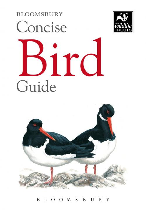 Cover of the book Concise Bird Guide by Bloomsbury, Bloomsbury Publishing