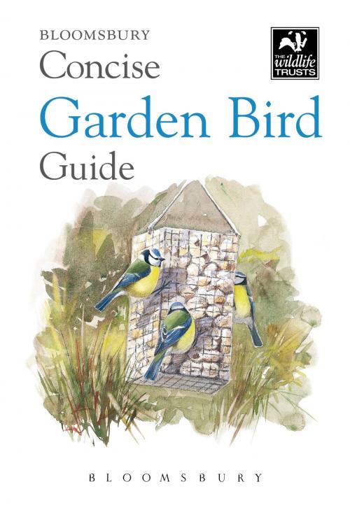 Cover of the book Concise Garden Bird Guide by Bloomsbury, Bloomsbury Publishing