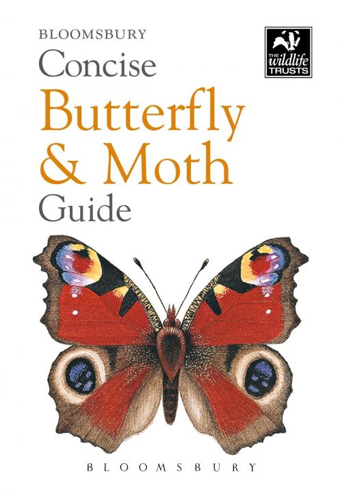 Cover of the book Concise Butterfly and Moth Guide by Bloomsbury, Bloomsbury Publishing