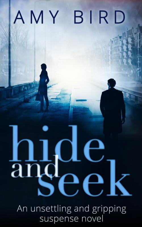 Cover of the book Hide And Seek by Amy Bird, HarperCollins Publishers
