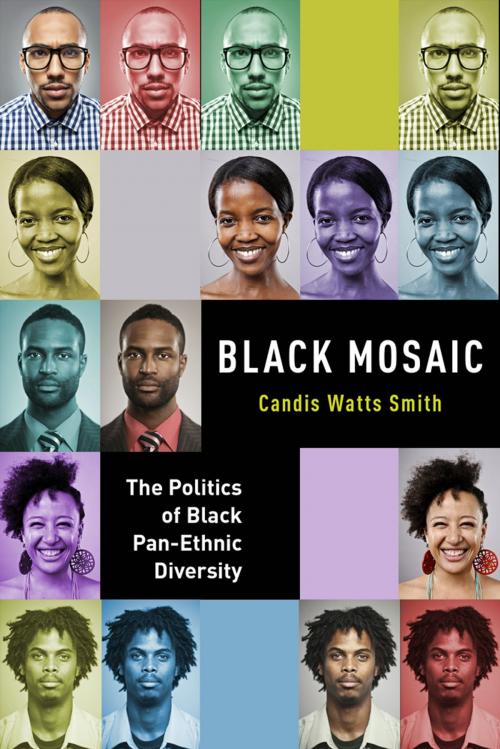 Cover of the book Black Mosaic by Candis Watts Smith, NYU Press