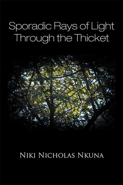 Cover of the book Sporadic Rays of Light Through the Thicket by Niki Nicholas Nkuna, Partridge Publishing Africa