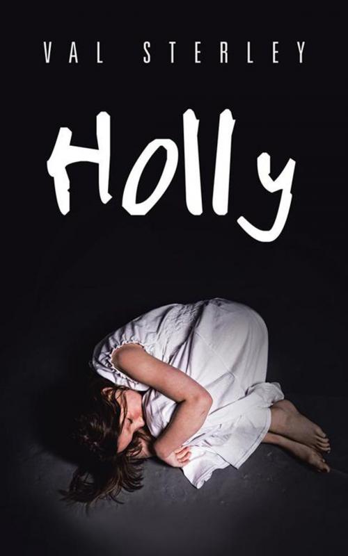 Cover of the book Holly by Val Sterley, Partridge Publishing Africa