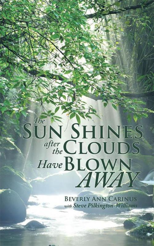 Cover of the book The Sun Shines After the Clouds Have Blown Away by Beverly Ann Carinus, Partridge Publishing Singapore