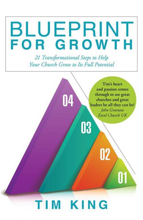 Cover of the book Blueprint for Growth by Tim King, WestBow Press