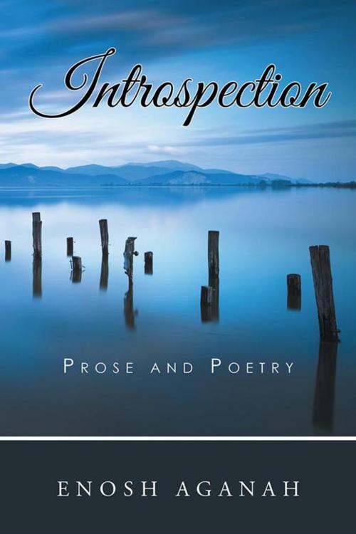 Cover of the book Introspection by Enosh Aganah, iUniverse