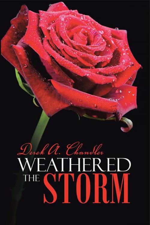 Cover of the book Weathered the Storm by Derek A. Chandler, AuthorHouse